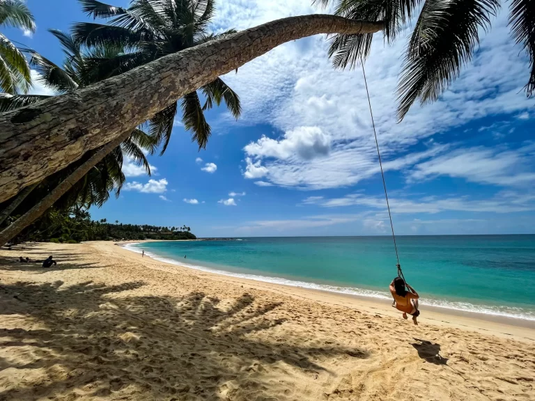 Unveiling Paradise: 10 Captivating Things to Do in Tangalle