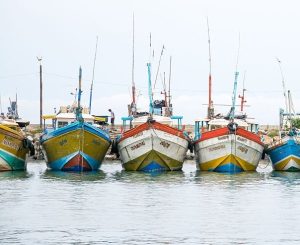 Tangalle Fishing Harbour: An Authentic Sri Lankan Experience
