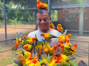 Exploring Hambantota Bird Park: A Avian Sanctuary in Sri Lanka’s Southern Landscape