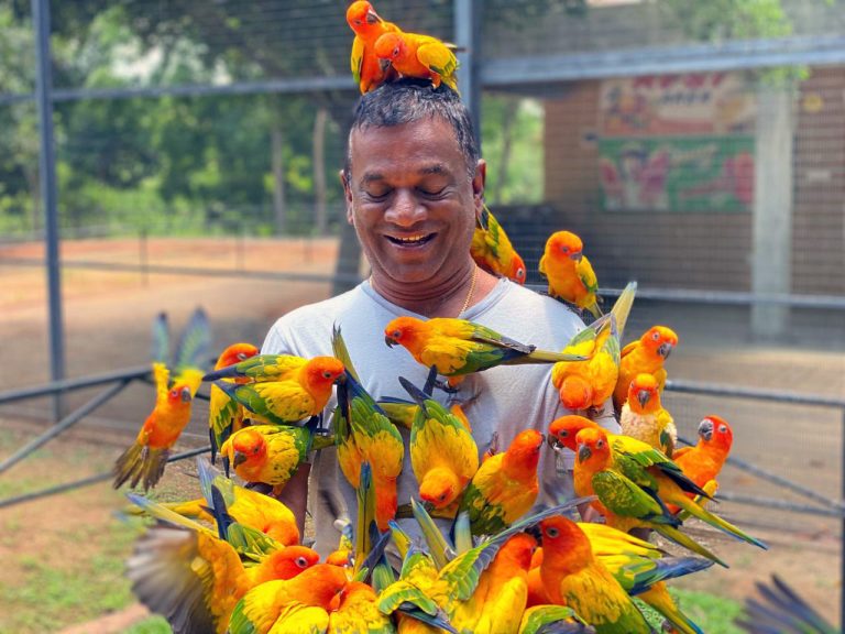 Exploring Hambantota Bird Park: A Avian Sanctuary in Sri Lanka’s Southern Landscape