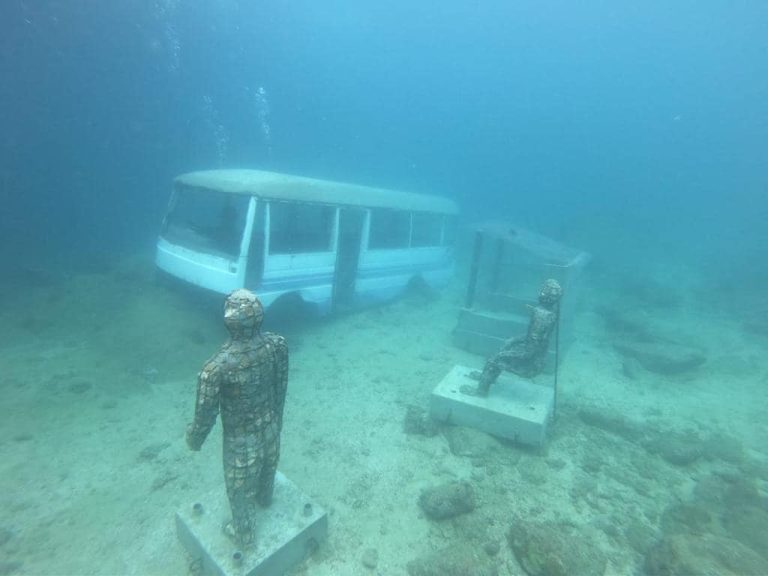 Unveiling the Marvels Beneath: Dive into the Nilwella Underwater Gallery