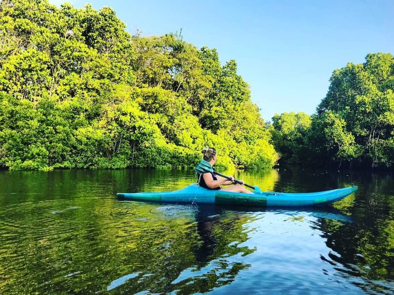 Tangalle Lagoon Kayak Adventure: Paddling Through Serenity